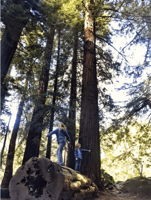 Screen Shot 2018-05-28 at 8.24.41 PM