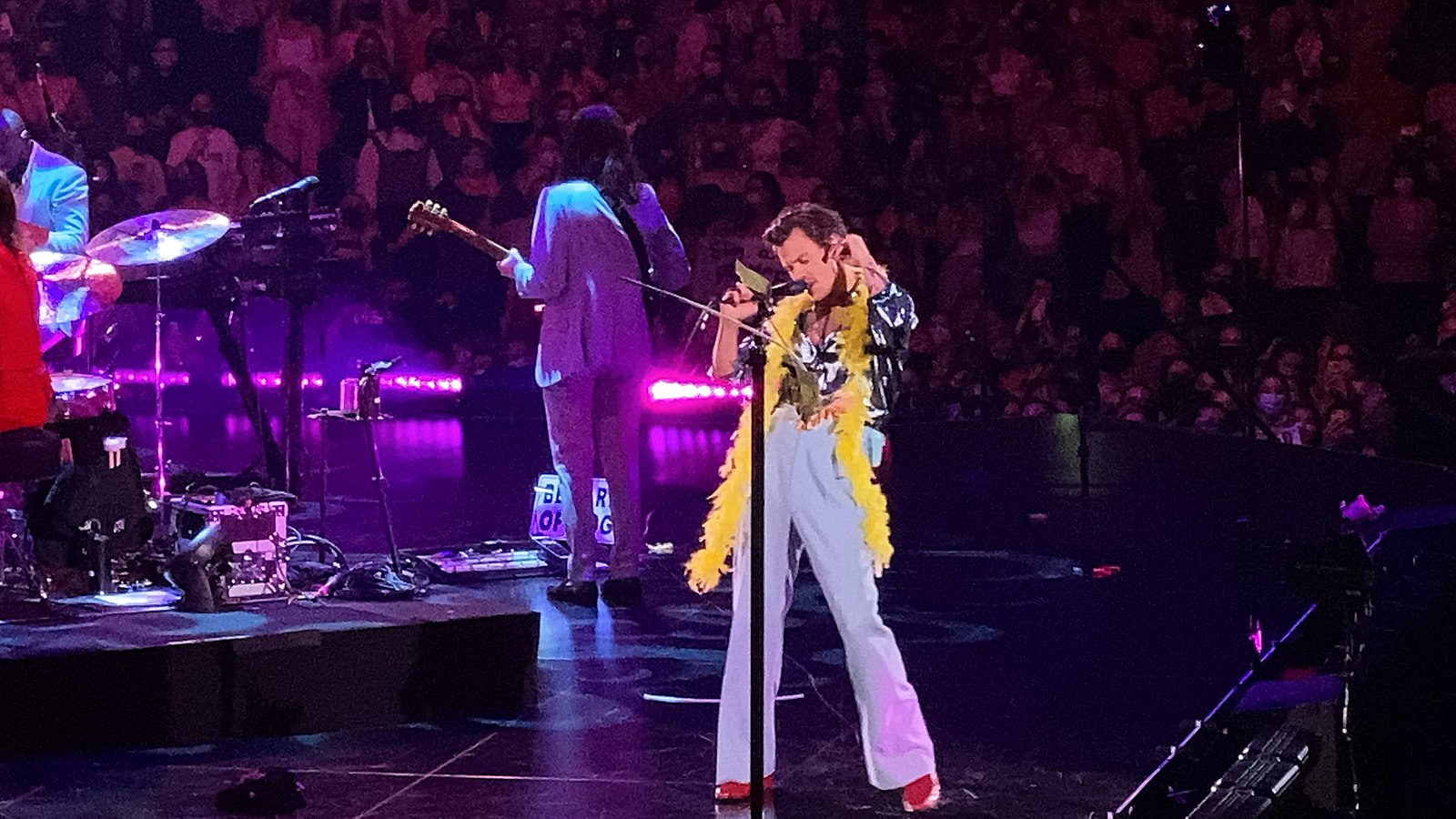 Why Does Everybody Love Harry Styles? | The Tides